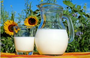 '우유·유제품 지구 환경에 미치는 영향' 논란 재연