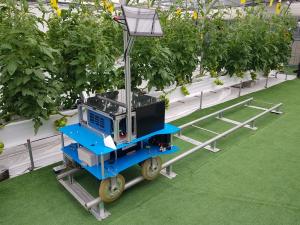 로봇과 인공지능으로 토마토 수확시기 예측한다