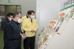 김강립 식약처장, 농산물 포장·물류센터 위생·방역 현장점검
