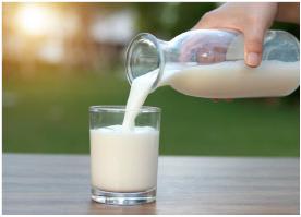 우유, 미국서 가장 인기 있는 비주류 음료 중 하나로 꼽혀