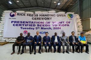 아프리카 벼 우량종자 생산 사업, 가나에서 ‘첫 결실’