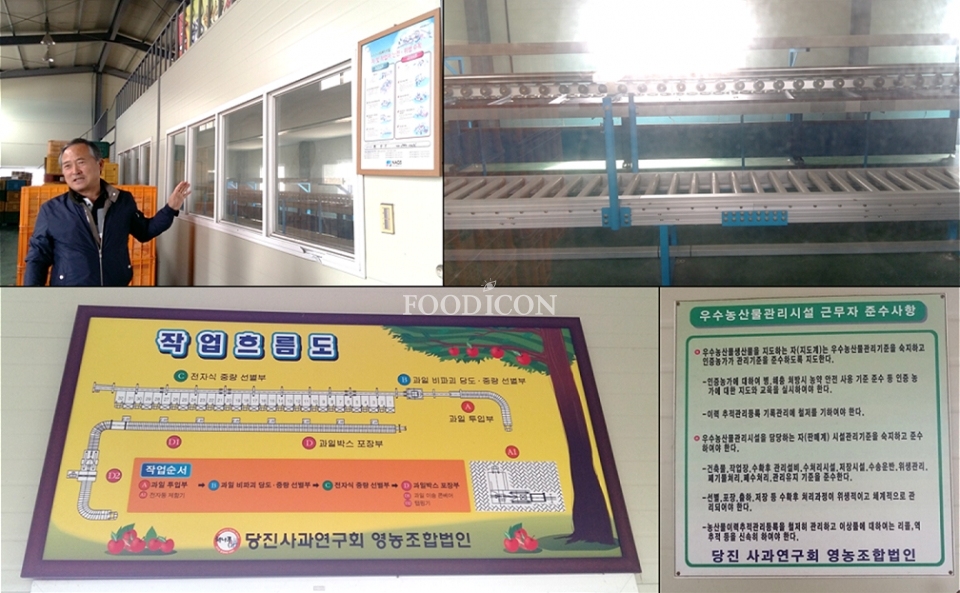 ◇ 국내 최초로 소규모 GAP 인증을 받은 당진사과연구회 공동선과장. 이 곳이 계기가 되어 지금은 개별농가에서도 GAP 인증을 획득하고 자체적으로 사과 선별을 진행하기 때문에 공동 선별장은 사용하지 않는다.