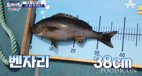 벤자리