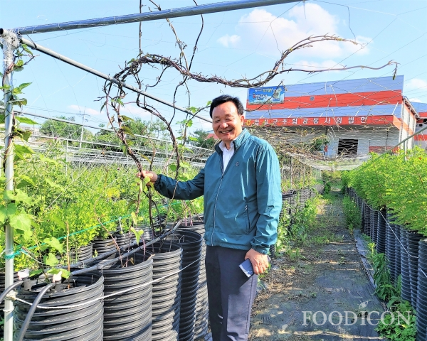 '식물들의 얘기에 귀기울이면 농업의 방향이 보인다'는 임실생약 심재석 대표는 백수오 묘포에도 관심을 갖고 시범재배하고 있다.