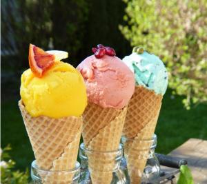 아이스크림도 식물성 시대...7조원 규모 중국 아이스크림 시장 견인차