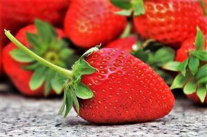 딸기 등 농산물 6종에 농약 30종 기준 신설