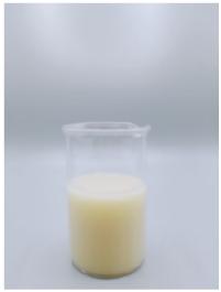 싱가포르, 세계 최초 '미세조류 우유' 개발 성공