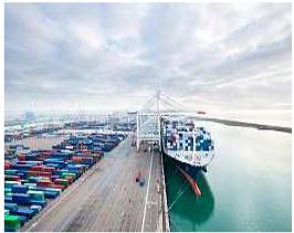 뉴질랜드 6월 유제품 수출 전년동기 대비 31% 증가