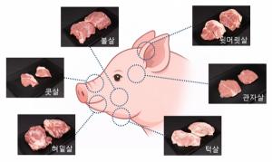 [올바른식생활] 삼겹살만 먹는다?… ‘머릿고기’ 1kg의 재발견