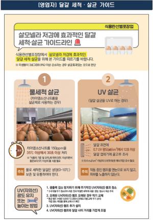 [올바른 식생활] 달걀 살모넬라 식중독 막는 법…식약처, 세척·살균 가이드라인 마련
