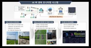 AI가 벼 생육 매일 판독…현장 조사 노동력 60% 감축