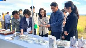 “우리 땅에서 자란 한국형 장립종 쌀”… 해남 간척지서 현장 평가